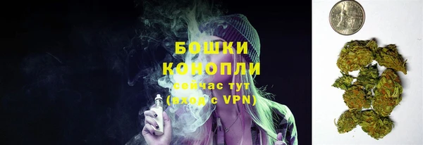 мяу мяу мука Гусев